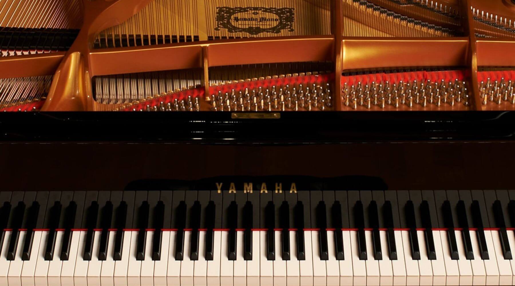 Đàn Piano - Piano Yamaha - Areca